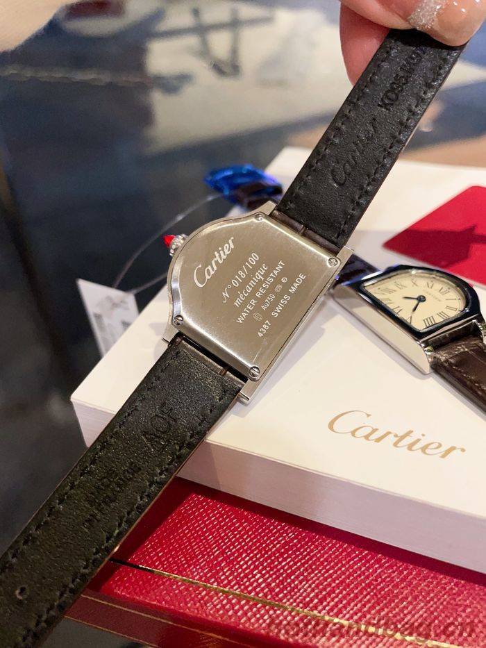 Cartier Watch CTW00213 Cartier Watch CTW00213