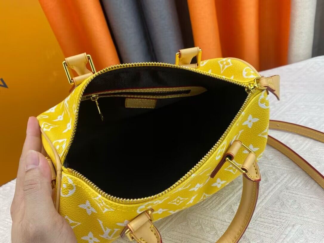 Louis Vuitton LV2024 Speedy 25 M24424 Yellow Louis Vuitton LV2024 Speedy 25 M24424 Yellow