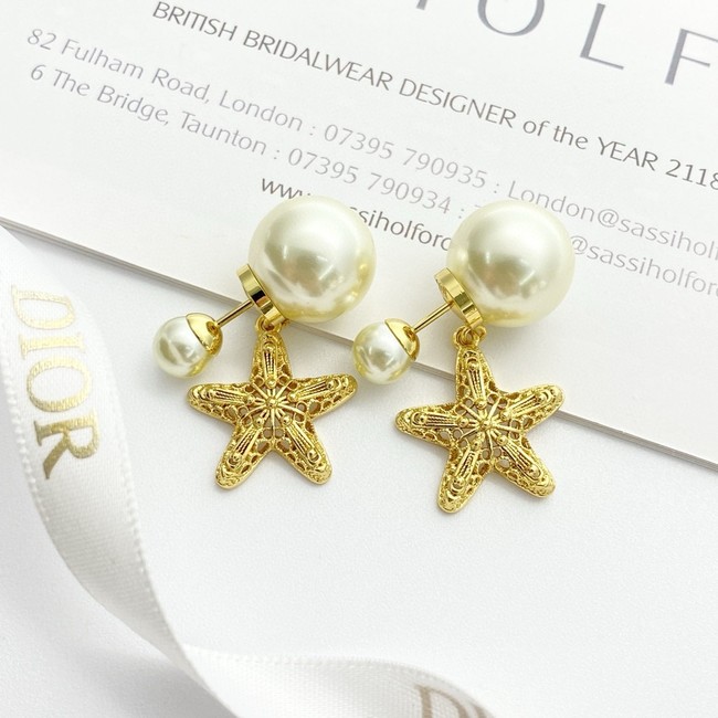 Dior Earring CE16948