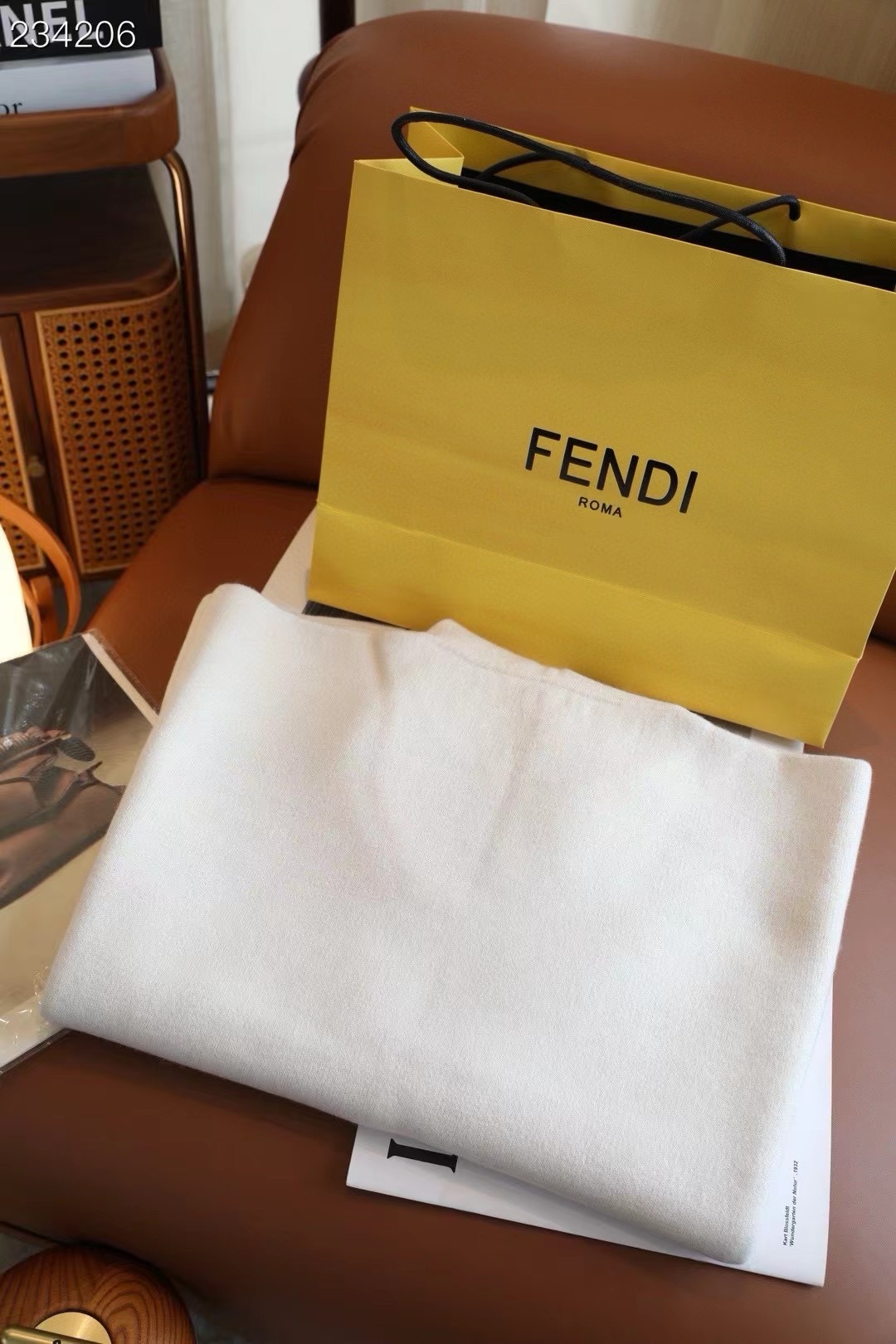 Fendi Cape Double-sided cashmere FDC35906