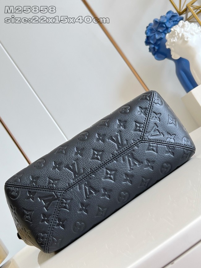 Louis Vuitton NEW All In One PM M25858 black