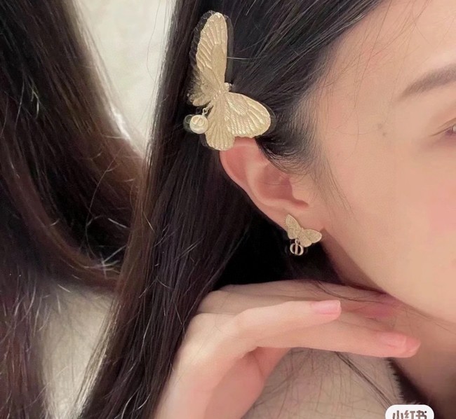 Dior Earring CE81103