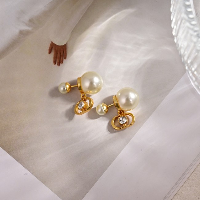 Dior Earring CE81698