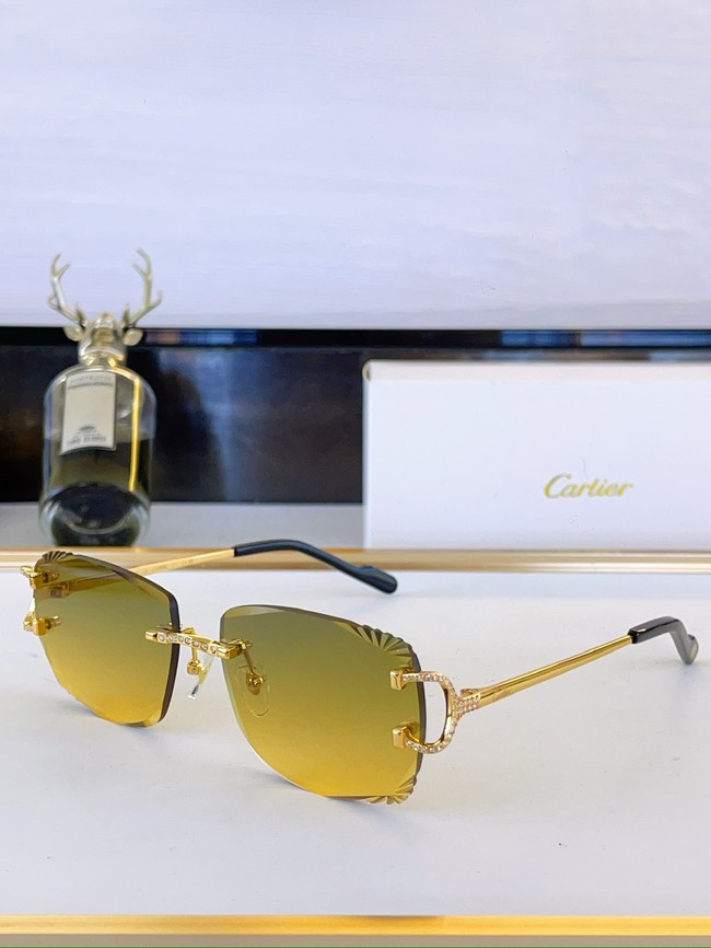 Cartier Sunglasses 260525-10