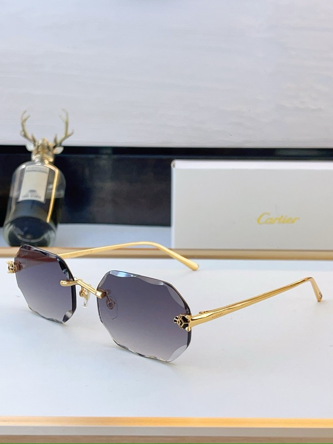 Cartier Sunglasses 260525-12