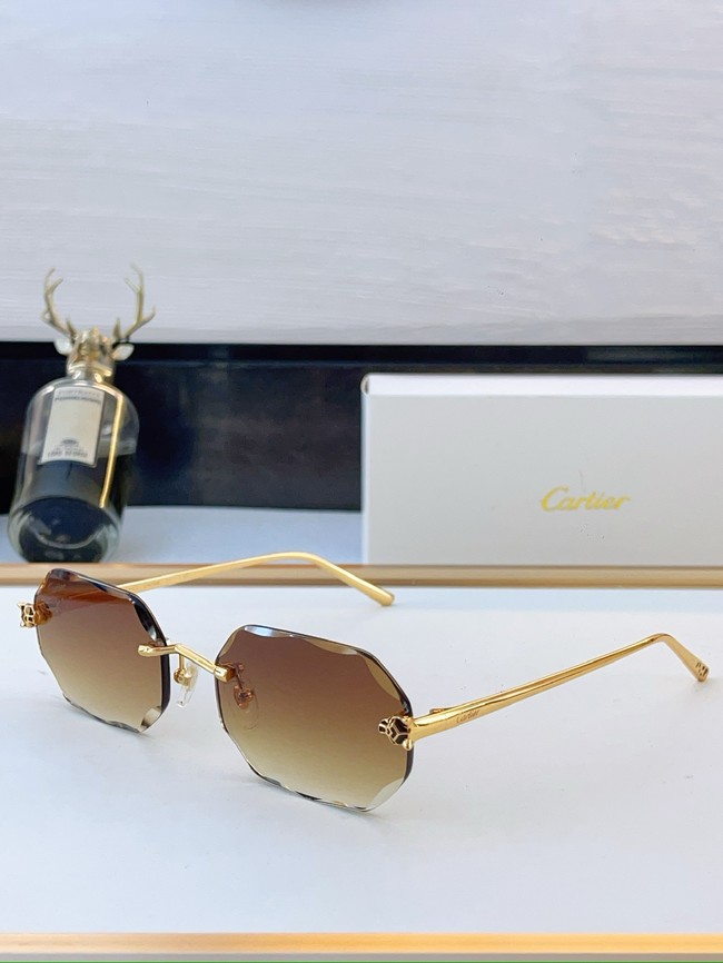 Cartier Sunglasses 260525-14