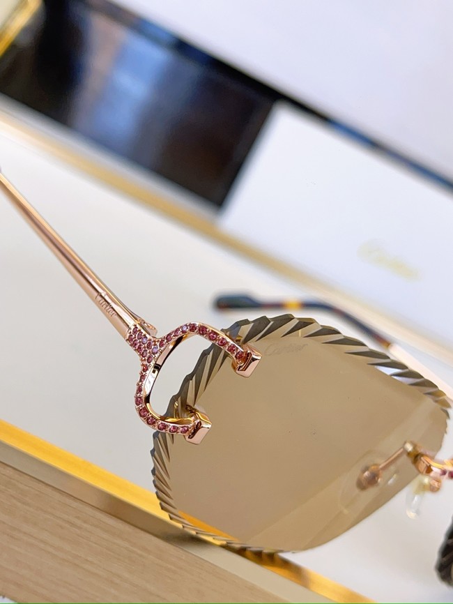 Cartier Sunglasses 260525-4