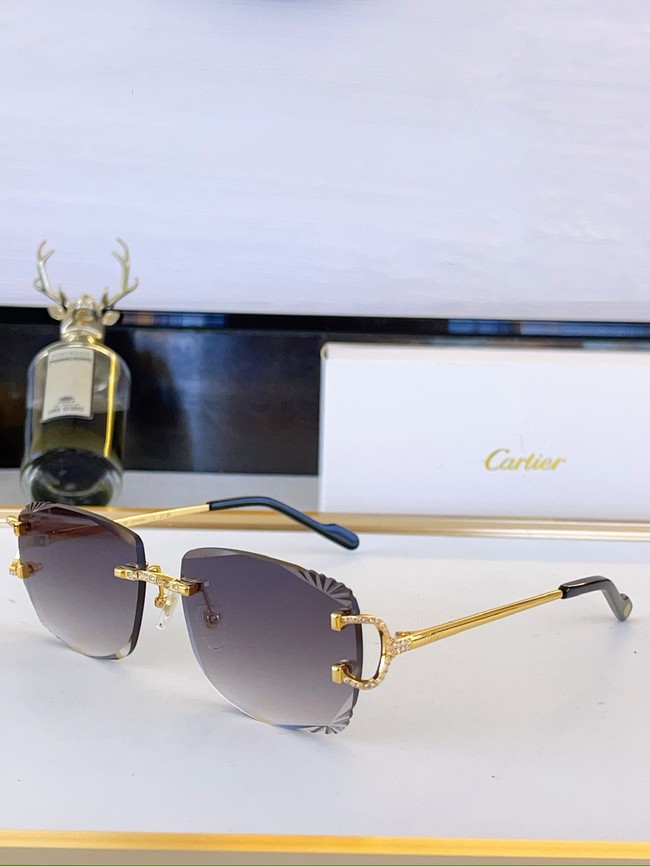 Cartier Sunglasses 260525-7