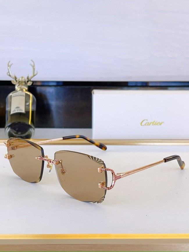 Cartier Sunglasses 260525-9