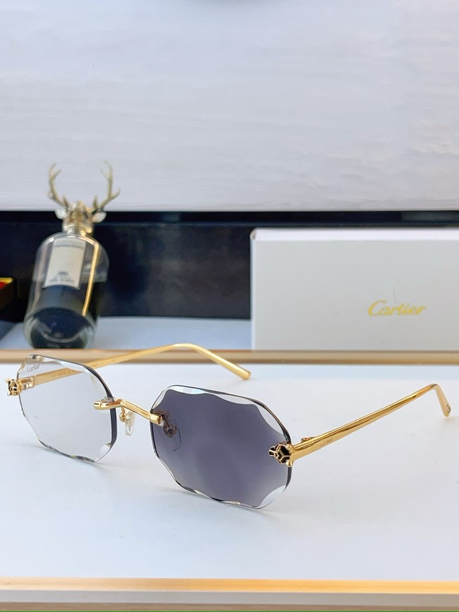 Cartier Sunglasses 260525-18