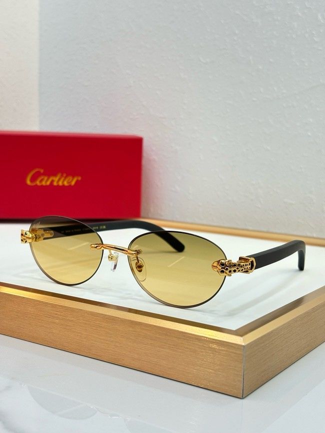 Cartier Sunglasses 260529-3
