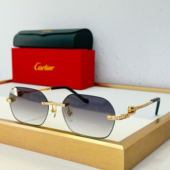 Cartier Sunglasses 260535-34