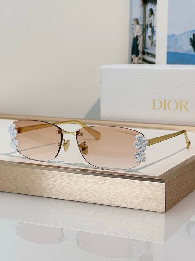 Dior Sunglasses 260551-1