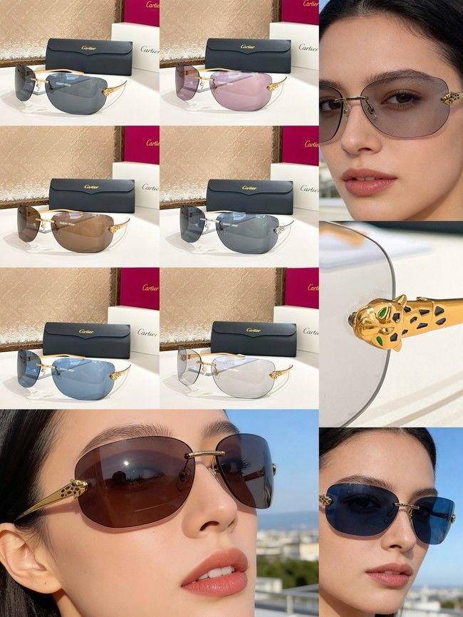 Cartier Sunglasses CAR000001