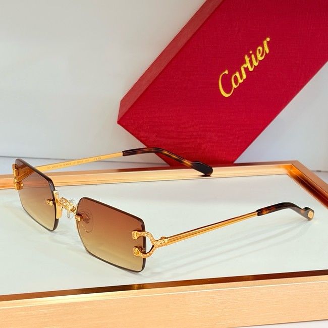 Cartier Sunglasses CAR000012