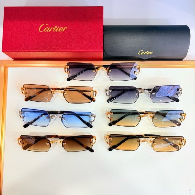 Cartier Sunglasses CAR000017