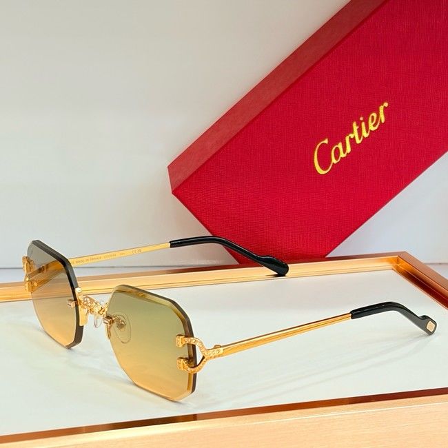 Cartier Sunglasses CAR000019