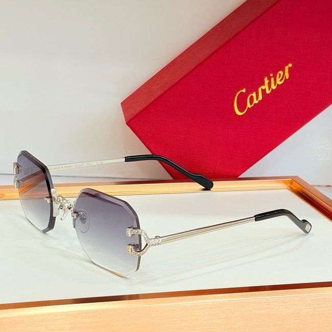 Cartier Sunglasses CAR000020