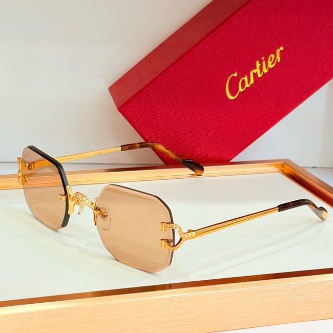 Cartier Sunglasses CAR000023