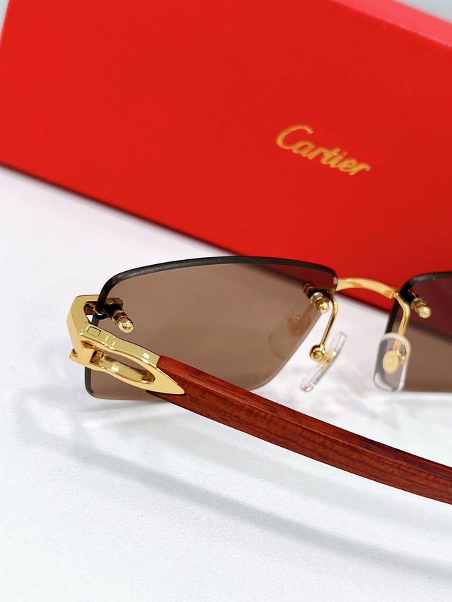 Cartier Sunglasses CAR000043