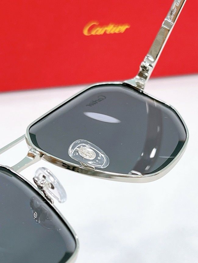 Cartier Sunglasses CAR000193