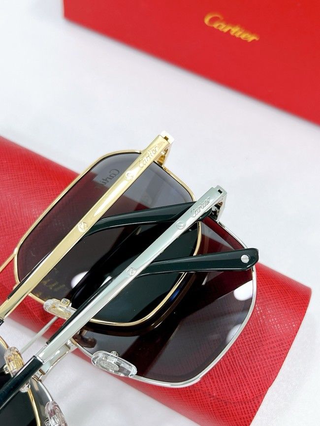 Cartier Sunglasses CAR000194