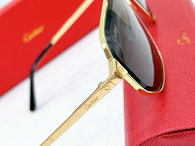 Cartier Sunglasses CAR000198