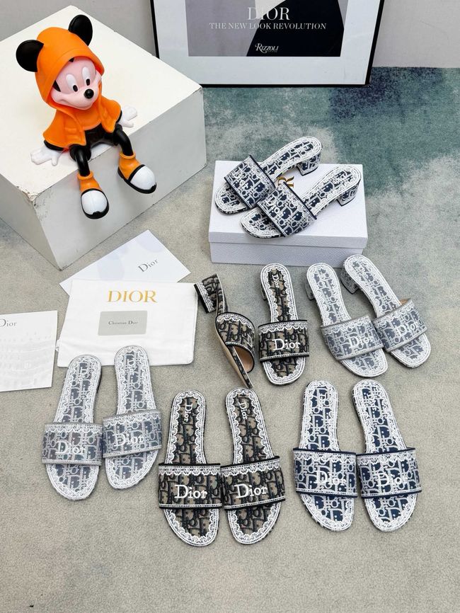 Dior Dway Slide 69004-5