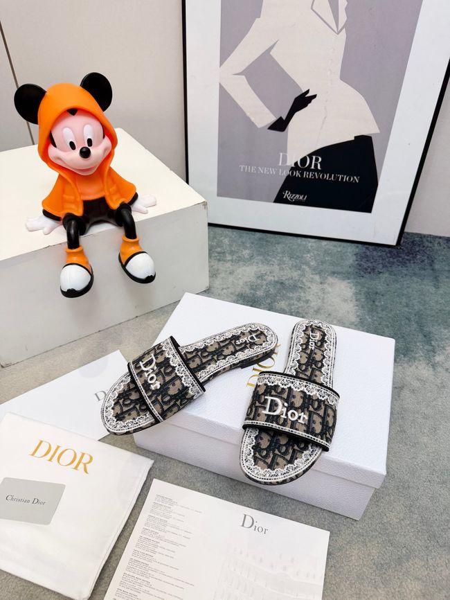 Dior Dway Slide 69004-5
