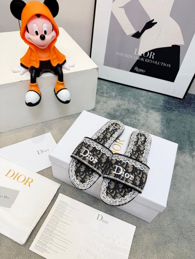 Dior Dway Slide 69004-5