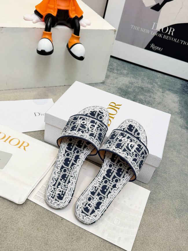 Dior Dway Slide 69004-6