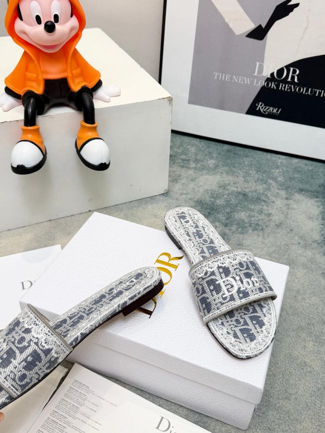 Dior Dway Slide 69004-7