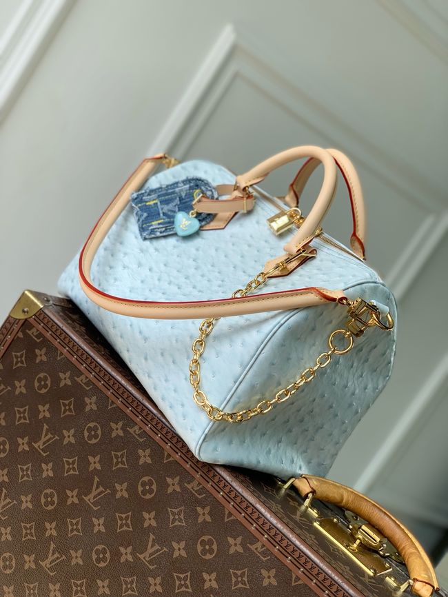 Louis Vuitton NEW Speedy Soft 30 M41112 light blue Louis Vuitton NEW Speedy Soft 30 M41112 light blue