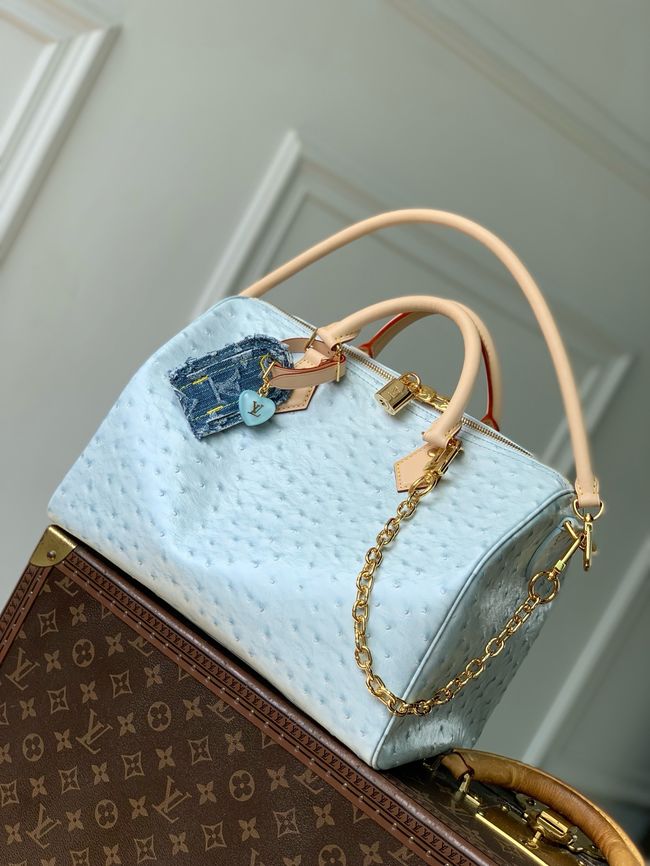 Louis Vuitton NEW Speedy Soft 30 M41112 light blue