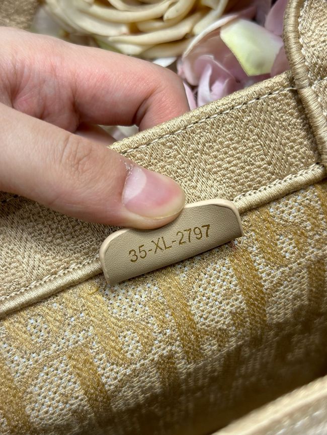 Small Dior Book Tote with Strap M1404PE-2