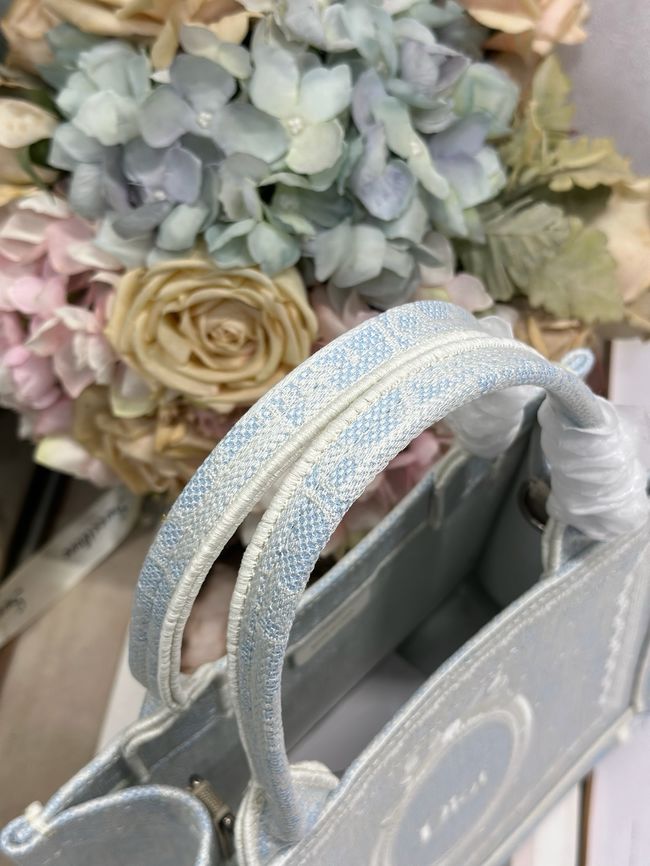 Small Dior Book Tote with Strap M1404PE-3