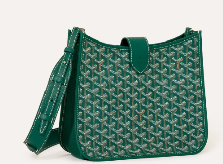 Goyard Musette crossbody bag CG08P green
