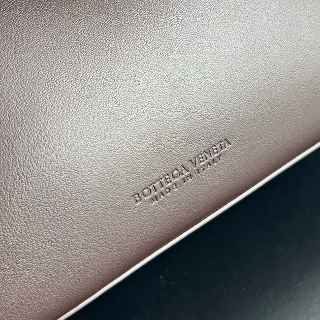 Bottega Veneta Small Andiamo 11590 Fondant Bottega Veneta Small Andiamo 11590 Fondant