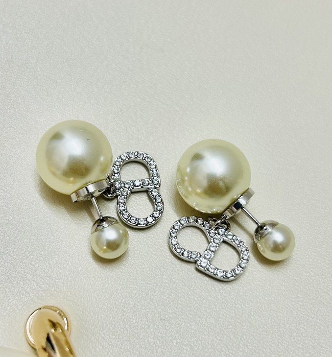 Dior Earrings CE89993